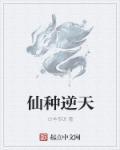 仙逆天境界