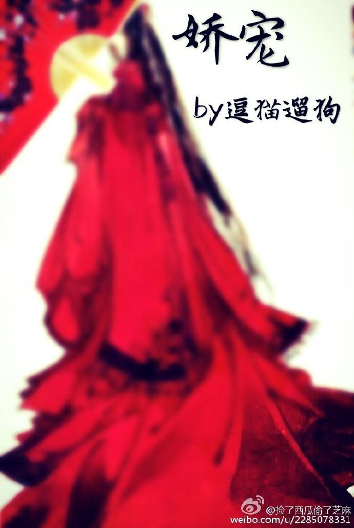 娇宠全文免费阅读
