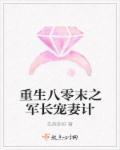 重生八零军长心