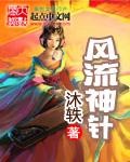 风流神针txt
