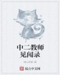 中学教师访谈记录表