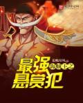 海贼王之最高赏金