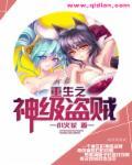 重生之超级盗贼 原点