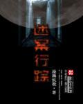 迷案实录