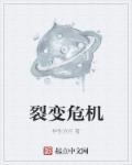 裂变的案例