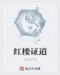 红楼免费阅读