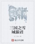 三国之狼行天下