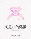 是风的不挽留还是树叶的追求
