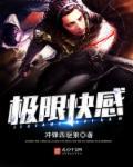 极速快感怎么调中文