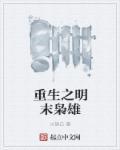 重生明末争霸