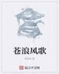 苍浪风歌讲什么的
