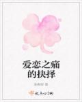 爱恋抉择免费阅读