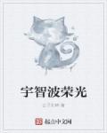 宇智波荣光篱笆好文学