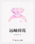 荷花远看是什么样子