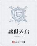 盛世天启属于什么档次
