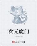 次元门mod