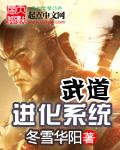 升级武道系统