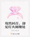 蓦然回首已是灯火阑珊处什么意思