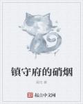 镇守府bonx