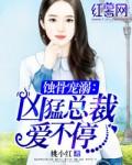 蚀骨宠爱总裁一恋情深