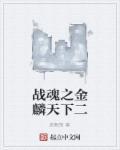 战魂之金麟天下ⅱ