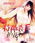 特种杀手护花行TXT