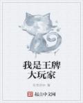王牌大玩家txt