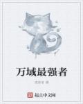 万域之王 百度百科