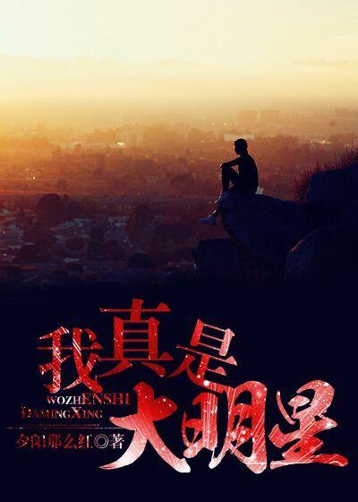 我真是大明星在线阅读
