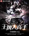 王牌高手视频