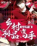 乡村极品高手全文免费