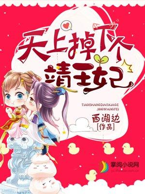 天上掉下个靖王妃有声