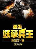 最强妖孽兵王洛天