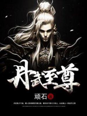 丹武至尊顽石TXT免费