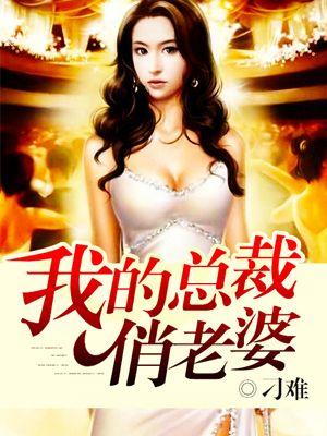 我的总裁老婆百科