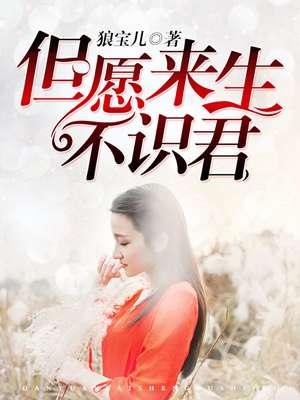 书名但愿来生不识君