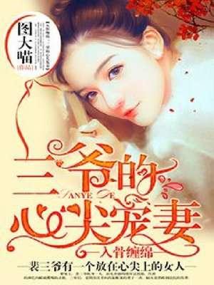 入骨暖婚三爷的心尖前妻