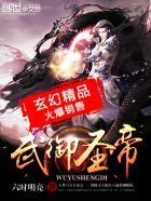 武御圣帝顶点