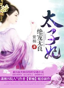 无良太子妃