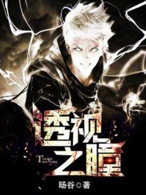 透视之眼在线阅读完整版