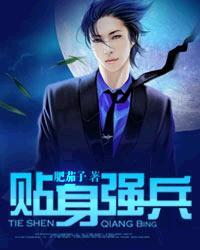 贴身强兵肥茄子百度