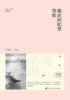 我在回忆里等你结局什么意思