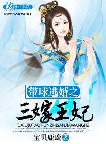 三夫追妻王妃带球跑