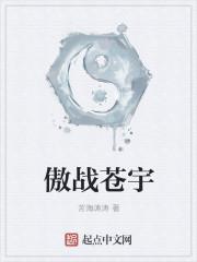 傲世苍宇