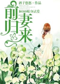 前妻来袭boss别闹
