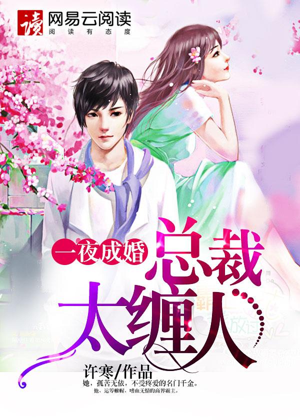一夜缠绵 总裁
