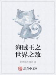 海贼王之世界的引导者