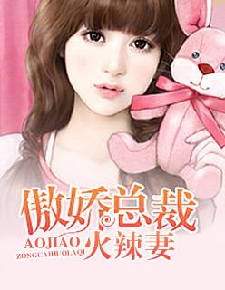 傲娇总裁老婆