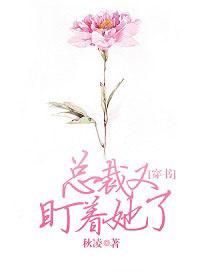 总裁又在作死了免费阅读