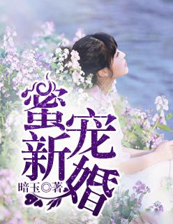 新婚蜜宠全文免费